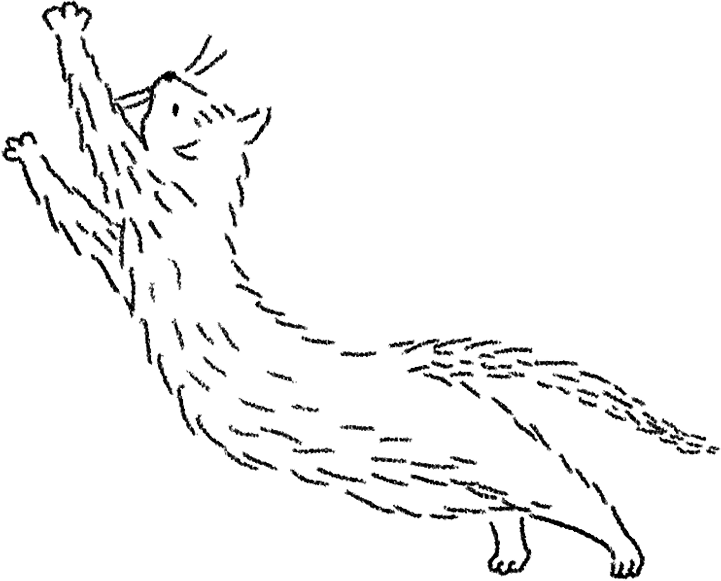 川越・ふじみ野の個人ピアノ教室。子どもから大人まで、楽しみながらレッスンを！上福岡駅、川越市寺尾、声楽、ソルフェージュ